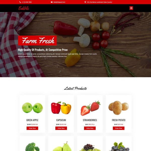 Imagem eCommerce Hortifruti