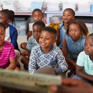 Wheat From Organic Farms